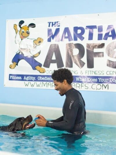 The Martial ARFS Dog Training & Fitness Center - Carle Place, NY