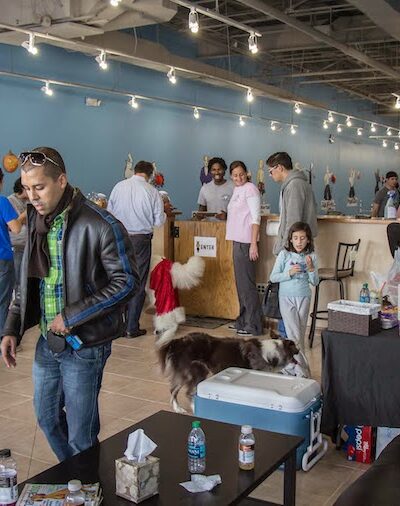 The Martial ARFS Dog Training & Fitness Center - Carle Place, NY