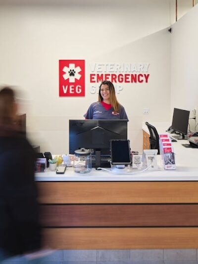 Veterinary Emergency Group - Carle Place, NY