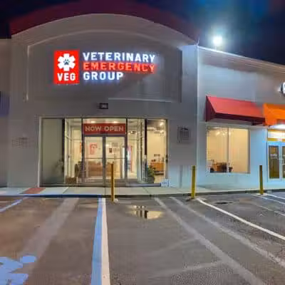 Veterinary Emergency Group - Carle Place, NY