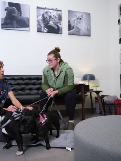 Veterinary Emergency Group - Carle Place, NY