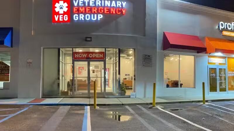 Veterinary Emergency Group - Carle Place, NY