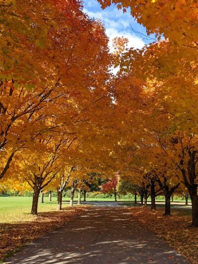 Gray Road Park - Carmel, IN
