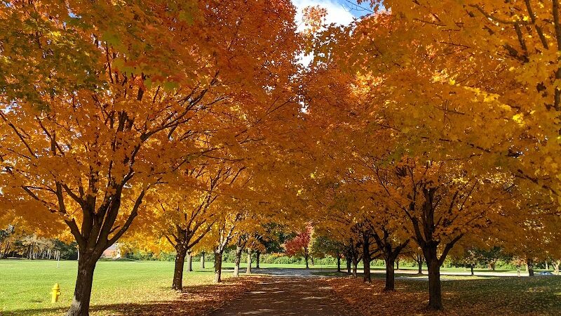 Gray Road Park - Carmel, IN