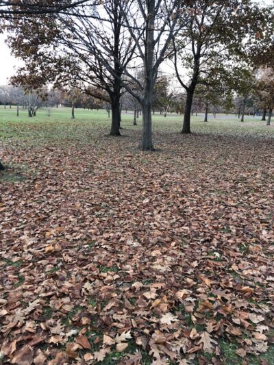 Gray Road Park - Carmel, IN