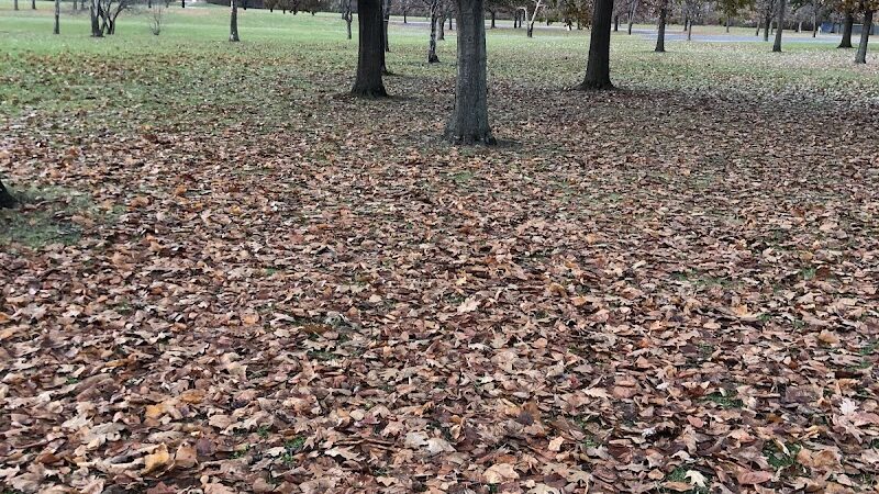 Gray Road Park - Carmel, IN