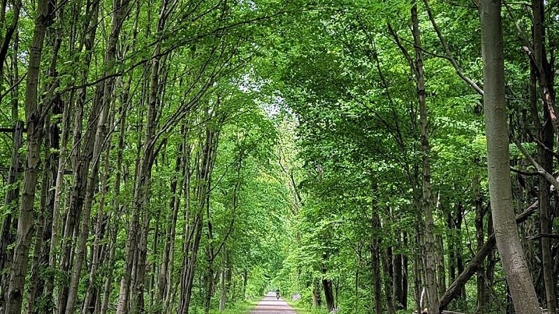 Monon Trail Access - Rohrer Road - Carmel, IN