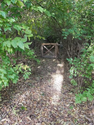 Monon Trail Access - Rohrer Road - Carmel, IN