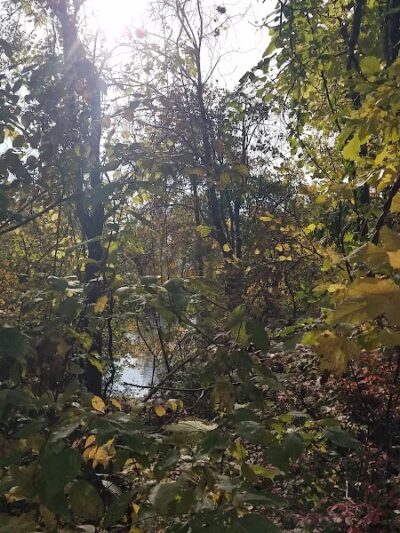 Monon Trail Access - Rohrer Road - Carmel, IN