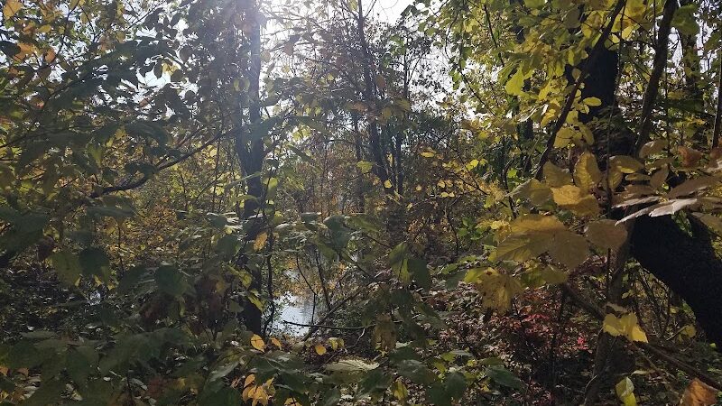 Monon Trail Access - Rohrer Road - Carmel, IN