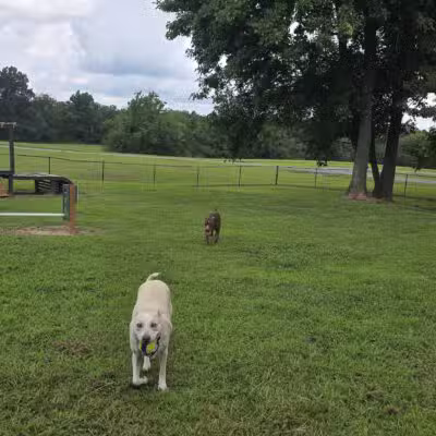 Carmi Dog Park - Carmi, IL