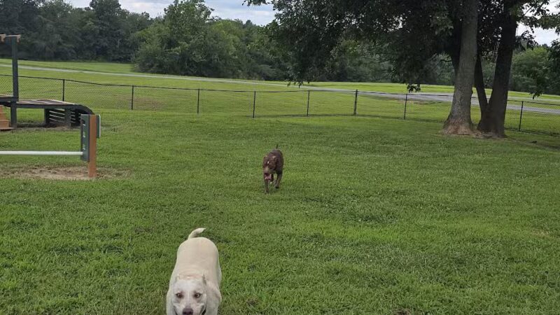 Carmi Dog Park - Carmi, IL