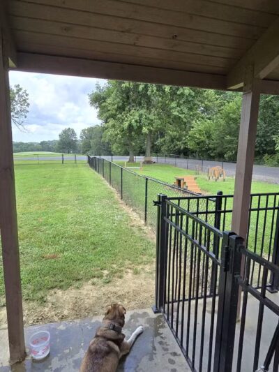 Carmi Dog Park - Carmi, IL