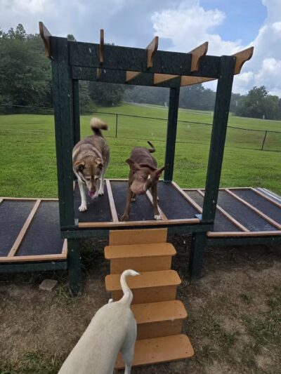 Carmi Dog Park - Carmi, IL