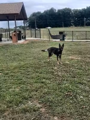 Carmi Dog Park - Carmi, IL