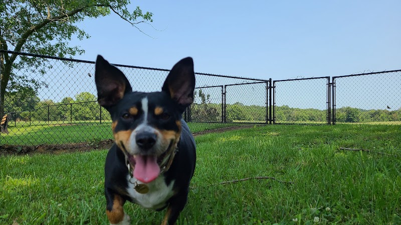 Carmi Dog Park - Carmi, IL