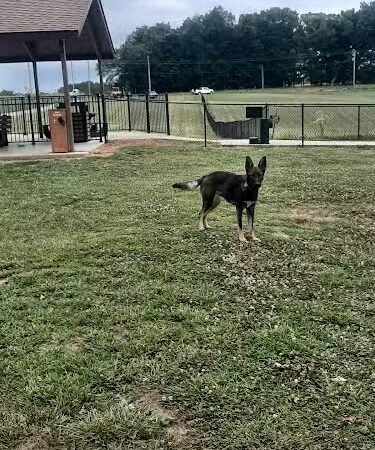 Carmi Dog Park - Carmi, IL