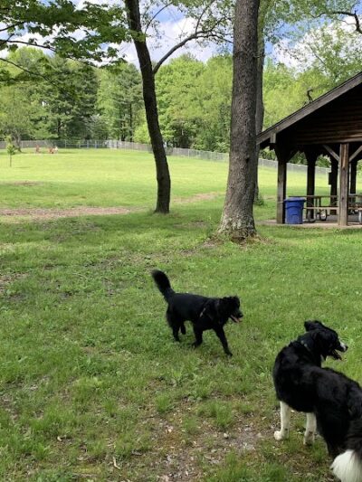 Settlers Cabin Dog Park - Carnegie, PA
