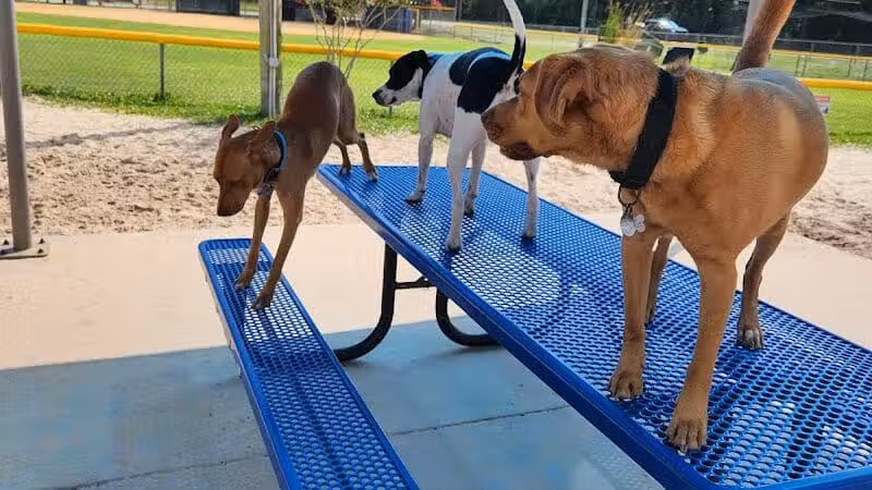 Dog Park - Carolina Beach, NC