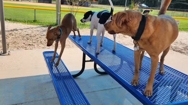 Dog Park - Carolina Beach, NC