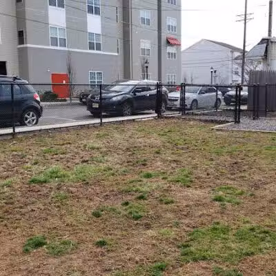 Bark Park - Carteret, NJ