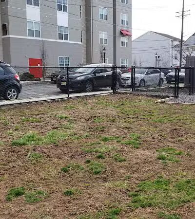 Bark Park - Carteret, NJ