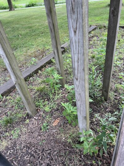 Jaycee Park - Carthage, IL