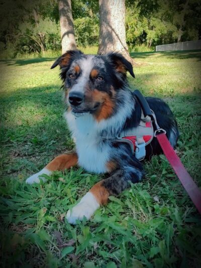 Carthage Park District - Carthage, IL