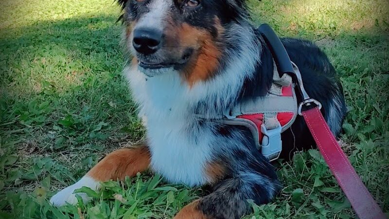 Carthage Park District - Carthage, IL