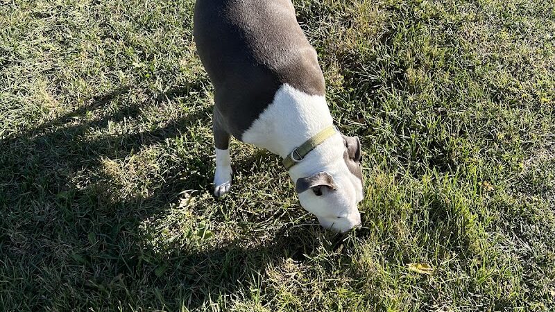 Carthage Park District - Carthage, IL