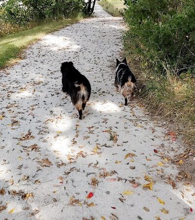 Carthage Park District - Carthage, IL