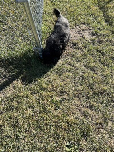 Carthage Park District - Carthage, IL