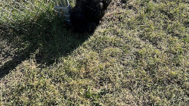 Carthage Park District - Carthage, IL