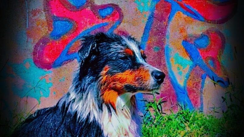 Carthage Park District - Carthage, IL