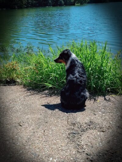 Carthage Park District - Carthage, IL