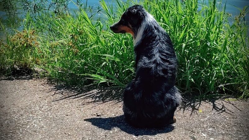 Carthage Park District - Carthage, IL