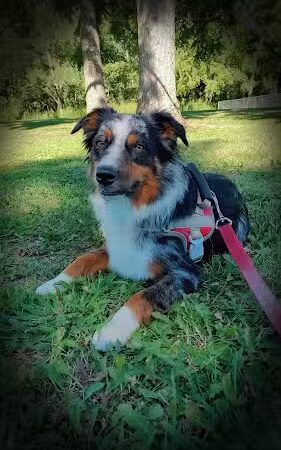 Carthage Park District - Carthage, IL