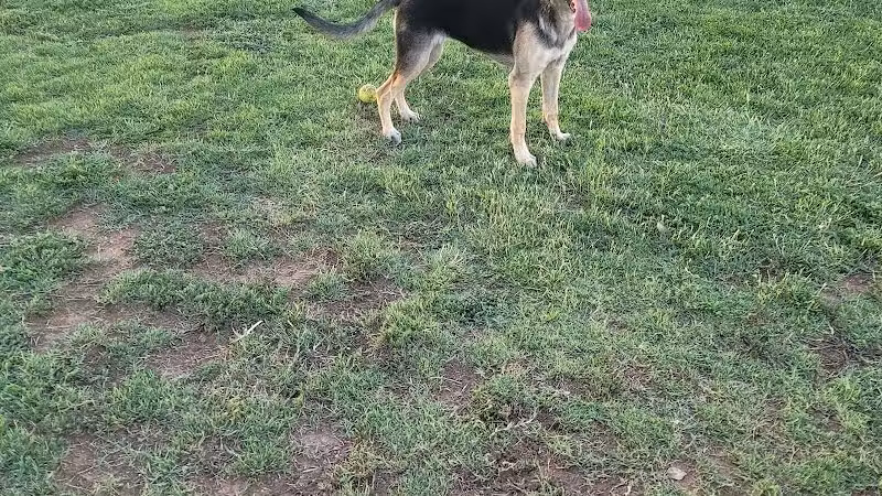 Casa Grande Dog Park - Casa Grande, AZ