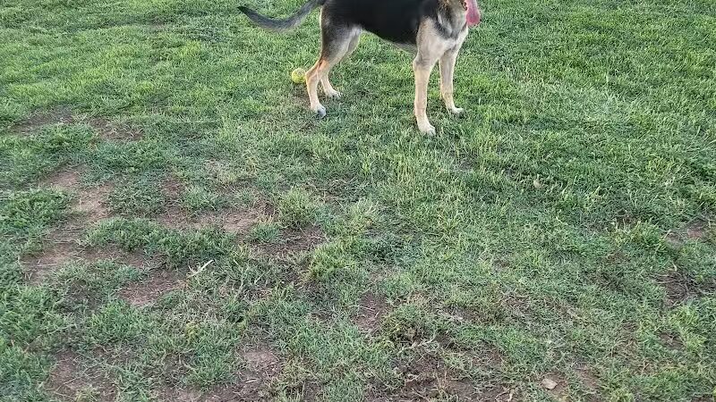 Casa Grande Dog Park - Casa Grande, AZ
