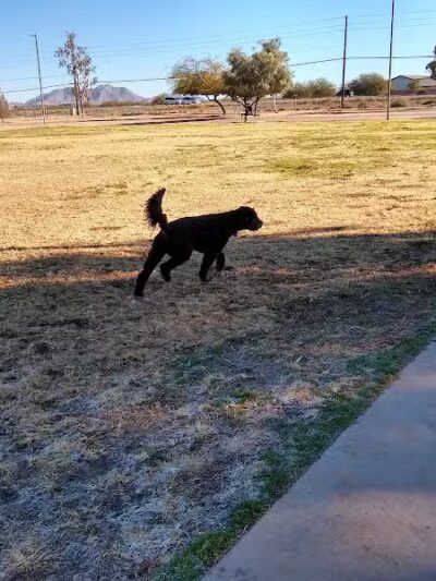 Casa Grande Dog Park - Casa Grande, AZ