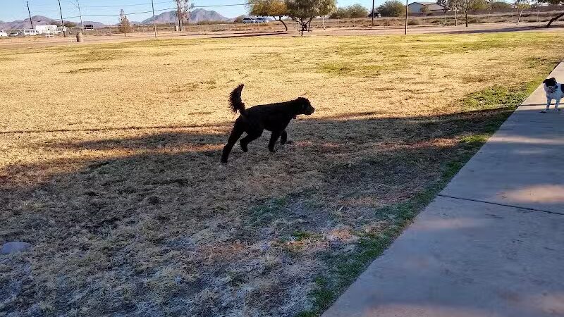 Casa Grande Dog Park - Casa Grande, AZ