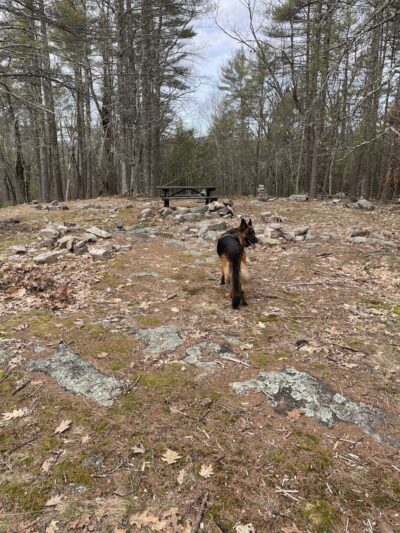 Sebago Lake State Park - Day Use Area Beach, Picnic, and Trails - Casco, ME