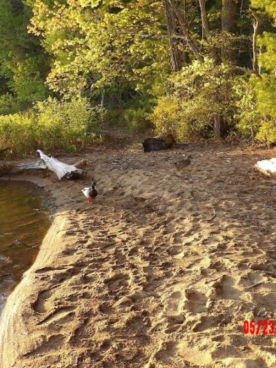 Sebago Lake State Park - Day Use Area Beach, Picnic, and Trails - Casco, ME