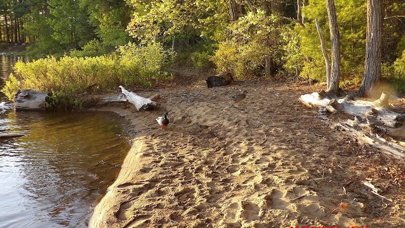 Sebago Lake State Park - Day Use Area Beach, Picnic, and Trails - Casco, ME
