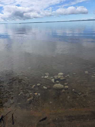 Sebago Lake State Park - Day Use Area Beach, Picnic, and Trails - Casco, ME