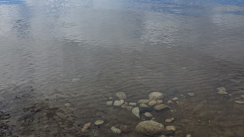 Sebago Lake State Park - Day Use Area Beach, Picnic, and Trails - Casco, ME