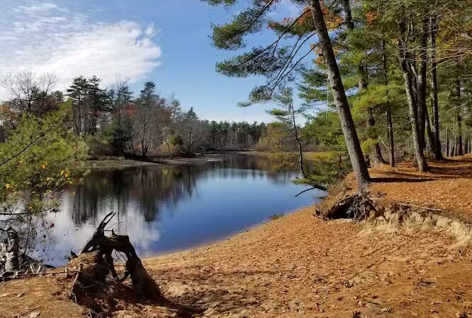 Sebago Lake State Park - Day Use Area Beach, Picnic, and Trails - Casco, ME