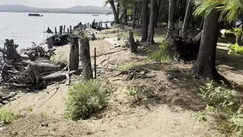 Sebago Lake State Park - Day Use Area Beach, Picnic, and Trails - Casco, ME