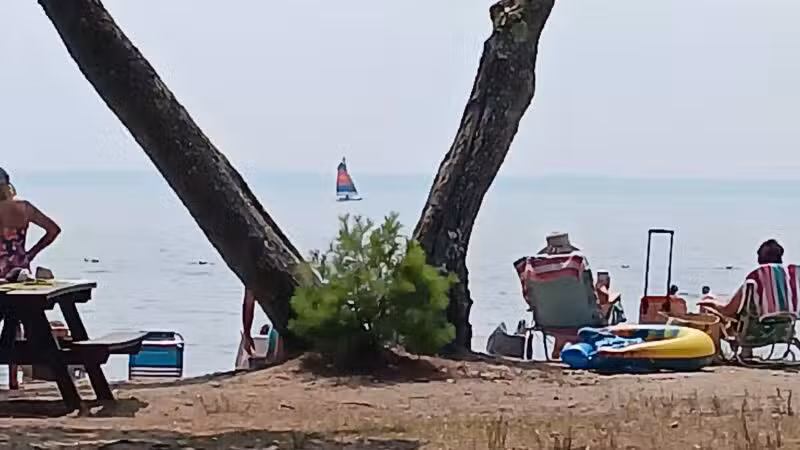 Sebago Lake State Park - Day Use Area Beach, Picnic, and Trails - Casco, ME