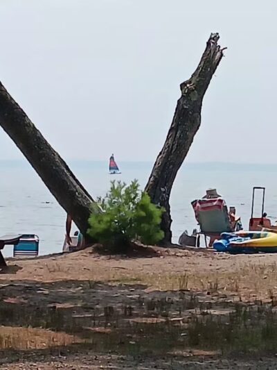 Sebago Lake State Park - Day Use Area Beach, Picnic, and Trails - Casco, ME